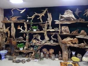 雙鴨山市第八屆工藝美術創新作品暨旅游紀念品展銷會隆重開幕，本土工藝精品薈萃展風采